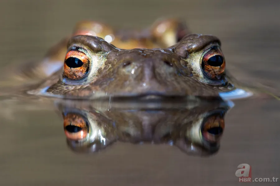 Erzurum'da görenleri şaşırtan anlar! Hemen telefona sarıldılar 3