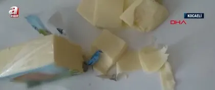 Kaşar peynirin içinden çıkan şoke etti!