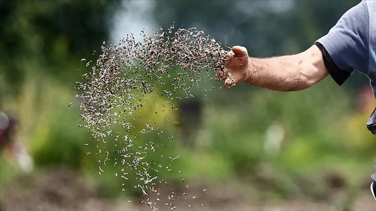 Türkiye'den 117 ülkeye ihracat: Yerli tohum üretimi 10 yılda yüzde 50 arttı