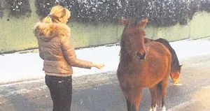 Pınar Altuğ’un büyük şaşkınlığı!