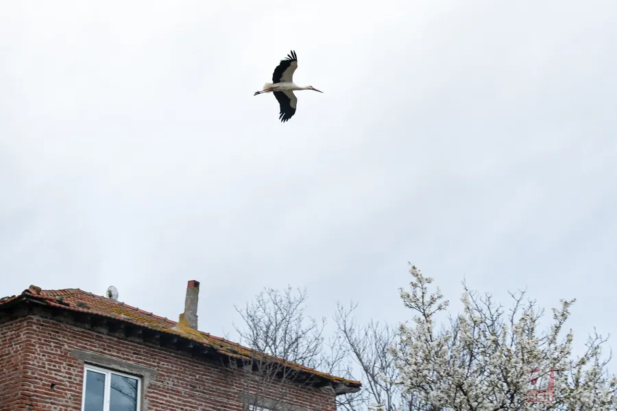 Yaren Leylek 15. yılında yine Adem Amca’nın kayığında 9