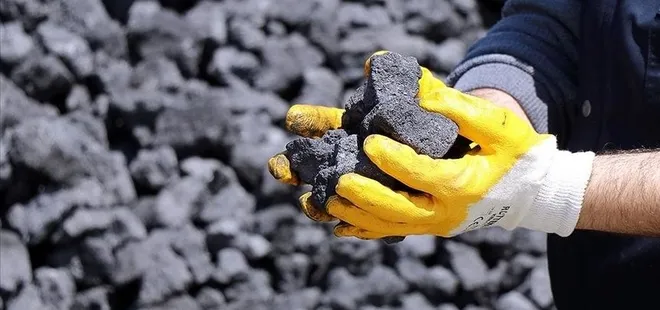 Gaz krizi sonrası Avrupa’da kömüre kalıcı dönüş! Kutuplar da bile arıyorlar