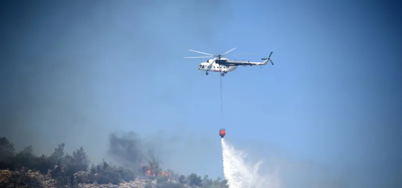 Son dakika: Mersin'de bir orman yangını daha