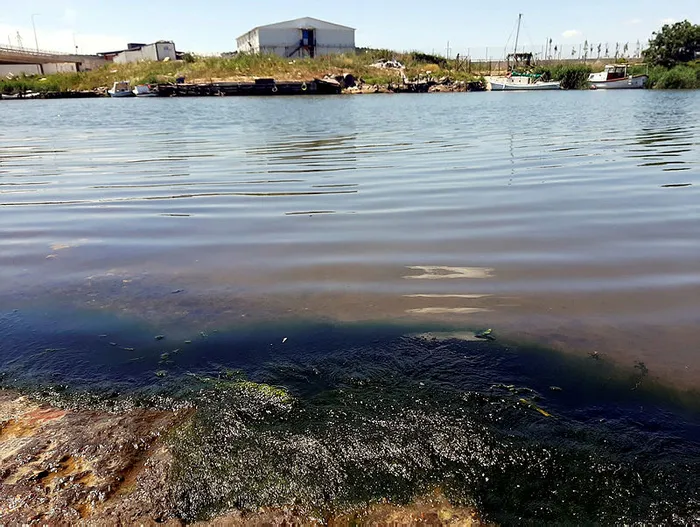 CHP’li İBB Başkanı Ekrem İmamoğlu Riva’yı zehirledi! Vatandaş isyan etti
