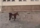 Öğrenciler faciadan kıl payı kurtuldu