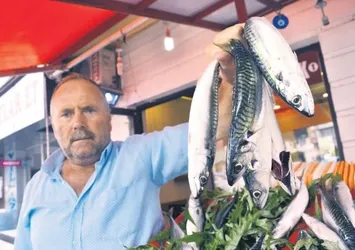 40 yıl sonra görülen uskumru umutlandırdı
