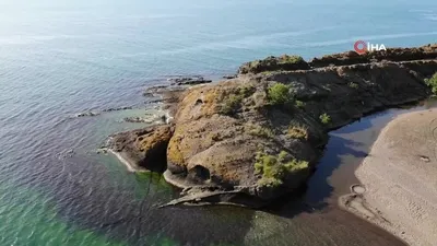 Gören timsah sanıyor!