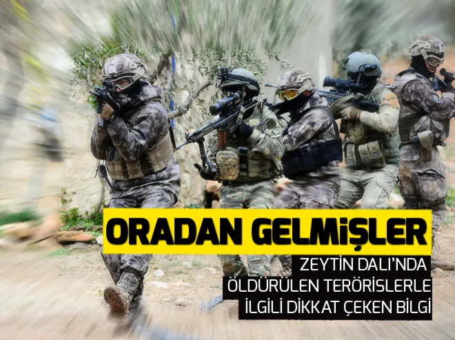 Kandilden Afrin’e! Öldürülen teröristlerle ilgili dikkat çeken bilgi