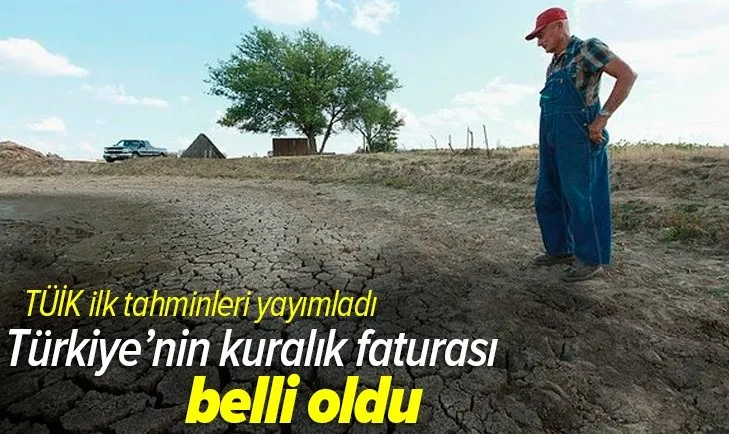TÜİK ilk tahminleri yayımladı! İşte Türkiye’nin kuraklık faturası belli oldu