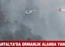 Antalya ormanlık alanda yangın