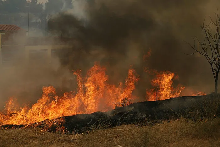 Yunanistan’daki orman yangınları söndürülemiyor! Yunanistan Başbakanı Kiryakos Miçotakis’ten umutsuz açıklamalar
