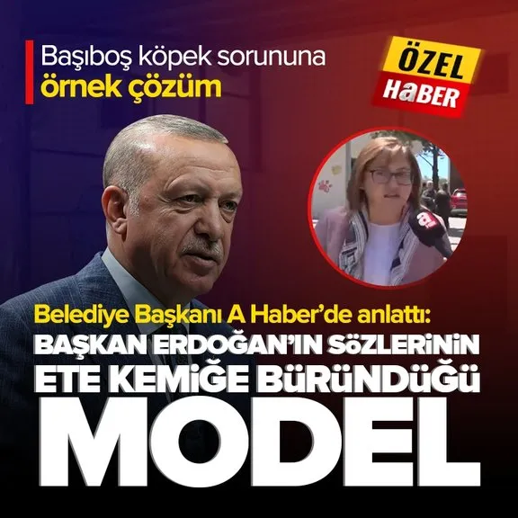 Başıboş köpeklere Gaziantep modeli! Belediye Başkanı Fatma Şahin A Haber’de anlattı: Başkan Erdoğan’ın sözlerinin ete keme büründüğü model