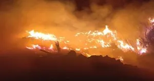 Hatay’da sazlık alanda yangın!