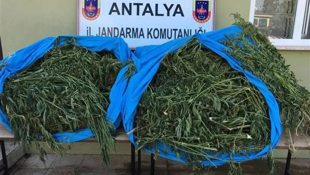 Antalya'daki uyuşturucu zanlıları fotokapana yakalandı - 1