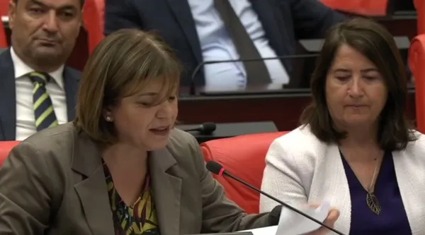 HDP’li Serpil Kemalbay Pekgözü’nden Meclis’te iktidara skandal tehdit: Sonunuz Saddam gibi olacak