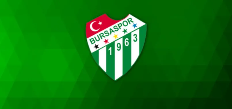 Bursaspor'da istifa depremi