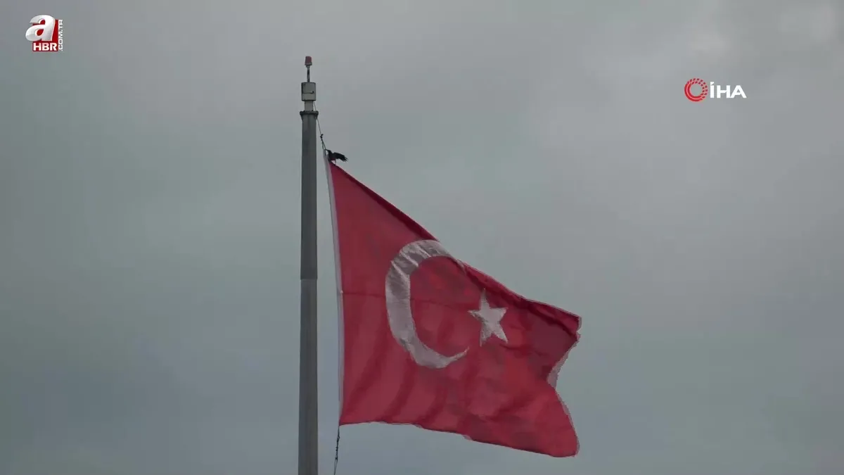 Karganın Türk bayrağı inadı