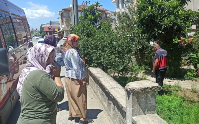 Düzce’de bahçede yılan paniği! Mahalle sakinleri soluksuz izledi 🐍 Yeşil renkli ve 1 metre...