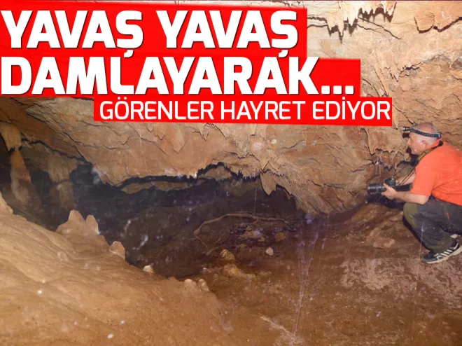 Antor MaÄarasÄ± gÃ¶renleri bÃ¼yÃ¼lÃ¼yor