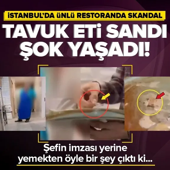 İstanbul’da ünlü restoranda şoke eden olay! Yemeğin içinden çıkanı görünce inanamadılar! O anlar kayıt altında: Bana mikrop bulaşmış olabilir mi?