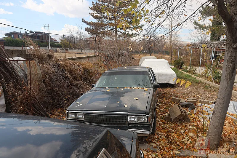 Bu serada sebze değil araba yetişiyor! Değer 3 milyon TL'den fazla 3