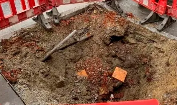 Uzmanlardan çınar ağaçlarını katleden CHP’li İBB’ye tepki