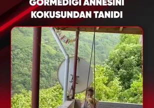 GÖRMEDİĞİ ANNESİNİ KOKUSUNDAN TANIDI
