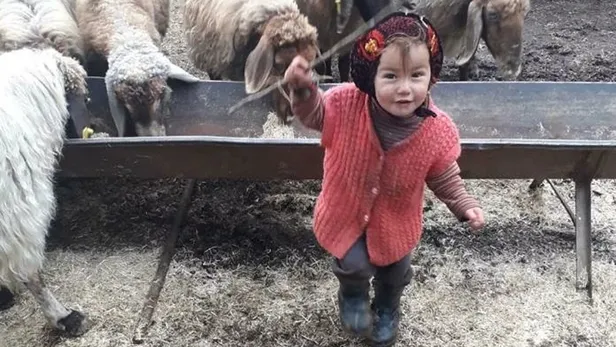 Son dakika: Müslüme bulundu mu? Mersin'de kaybolan Müslüme Yağal son durum nedir? - 5