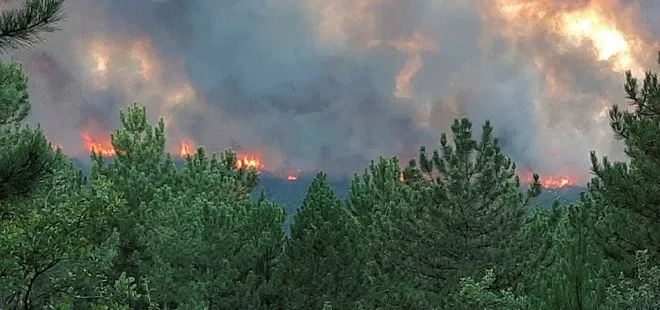 Son dakika: Kütahya’daki orman yangını kontrol altına alındı