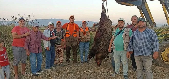 Manisa’da hayretler içinde bırakan görüntü! 300 kiloluk domuz böyle vuruldu