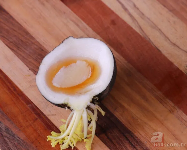 Öksürüğü yok etmenin doğal tarifi! İşte doğal öksürük şurubu... 9