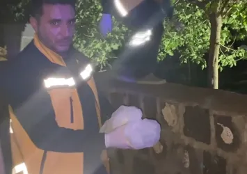 Vicdansızlığın böylesi! Cami bahçesine fidan dikmek isteyen çocuklar kazı yaparken buldu