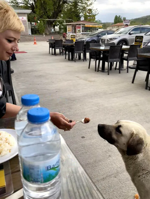 1620556431150.jpg Sokak köpeğine kaşıkla yemek yedirdi! Tartışma konusu oldu - 4