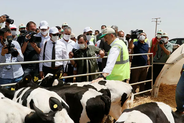 Tarım ve Orman Bakanı Bekir Pakdemirli’den TİGEM Ceylanpınar Sulama Projesi açılışında flaş açıklamalar