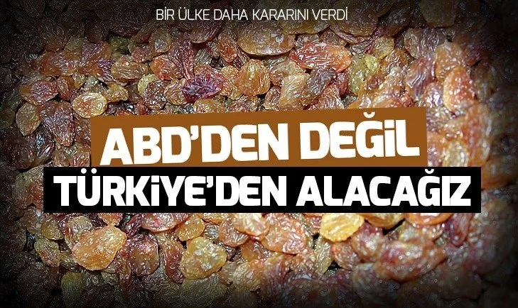 Çinli firma kuru üzümü ABD yerine Türkiye'den alacak
