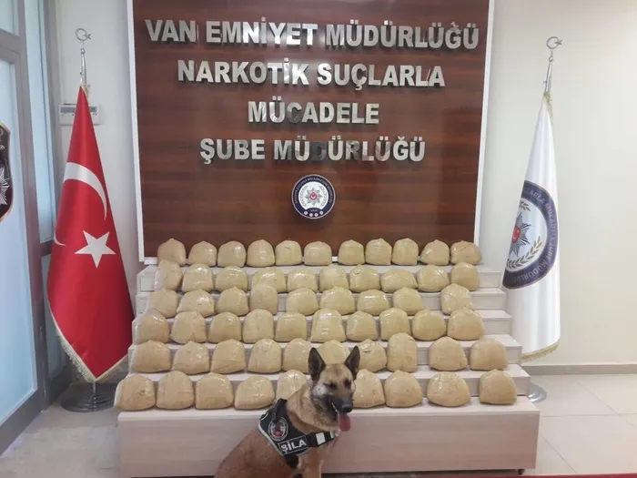Uyuşturucu tacirlerine Van'da darbe! Dedektör köpek Şila yine kaçırmadı - 1