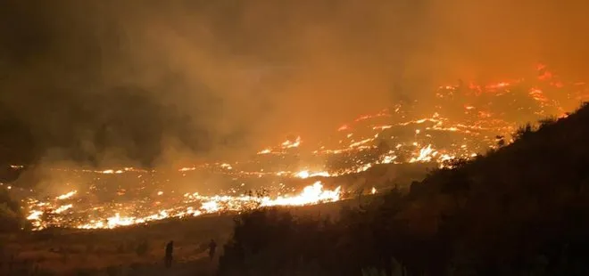 Muğla’da orman yangını! Bakan Pakdemirli: Soğutma çalışmalarımız devam ediyor