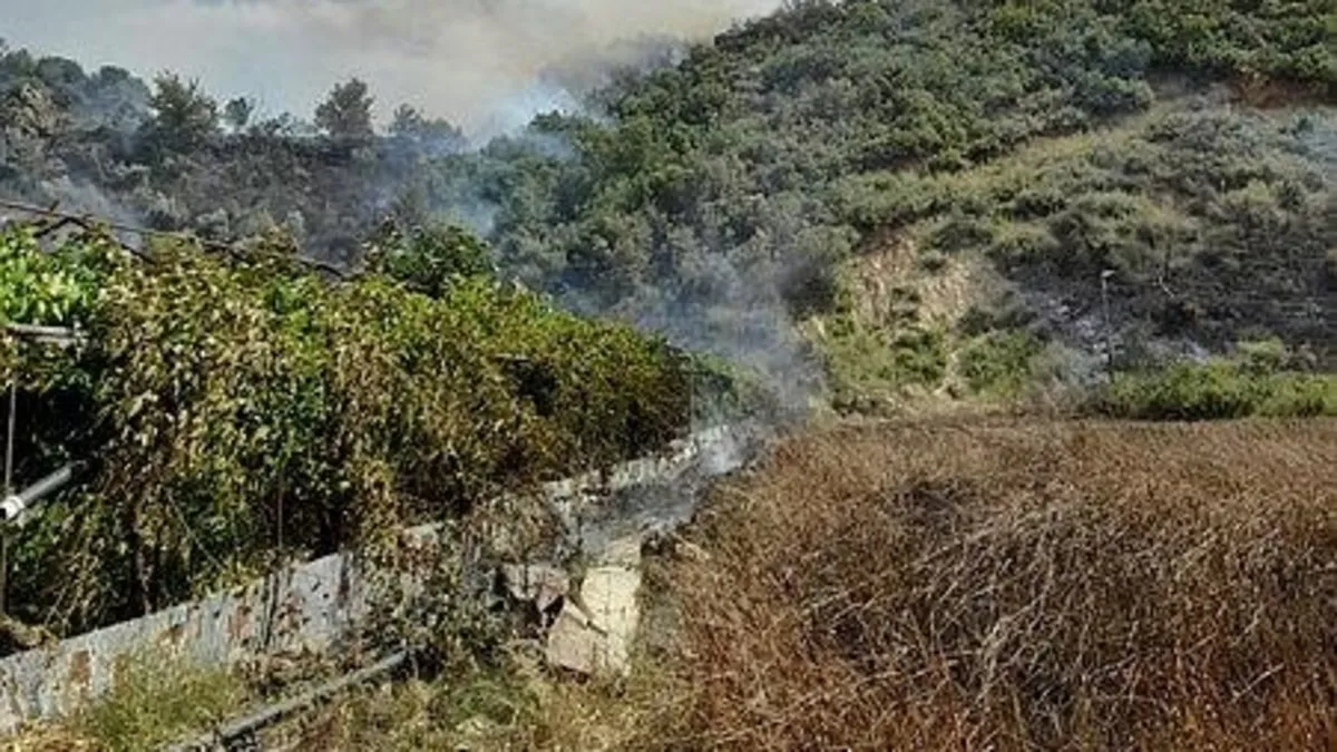 Antalya Kemer'de orman yangını