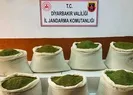 Diyarbakır’da uyuşturucu operasyonu