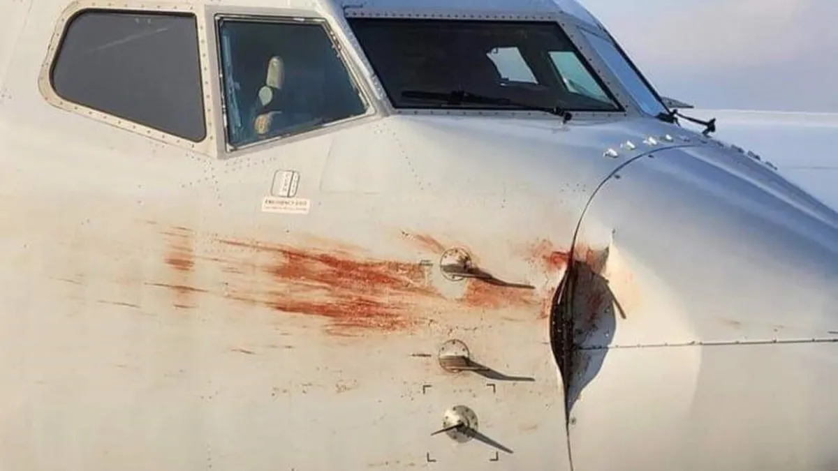 Hindistan'da yolcu uçağı flamingo sürüsüne çarptı