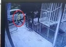 Altın hırsızlarını otobüs kamerası yakalattı