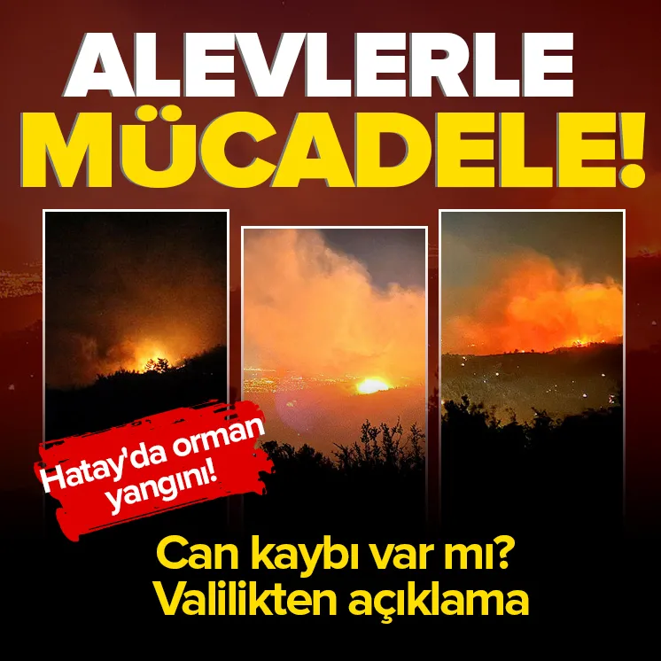 Hatayda orman yangını!