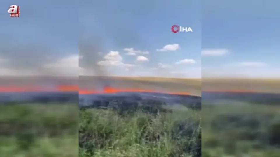 Ankara’da anız yangını