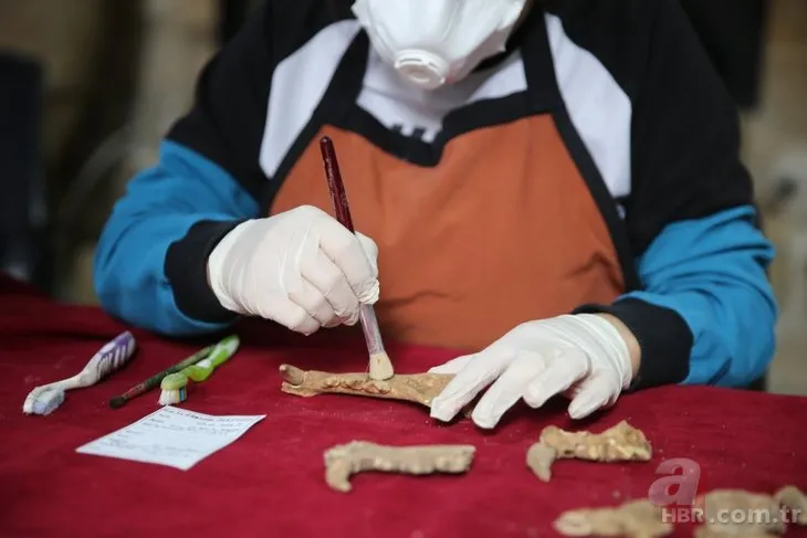 Mardin’de heyecanlandıran keşif! Anadolu parsı kemiklerinde bulundu: 1500 yıllık kesik izleri!