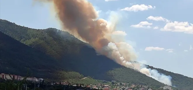 Denizli'deki ormanlık alanda çıkan yangın kontrol altına alındı