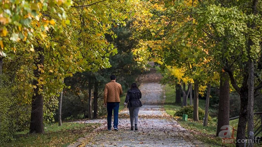 Adımlarımız hızlandı, sabrımız tükendi! İşte 40 yıl öncesine göre daha seri yürümemizin nedeni 3