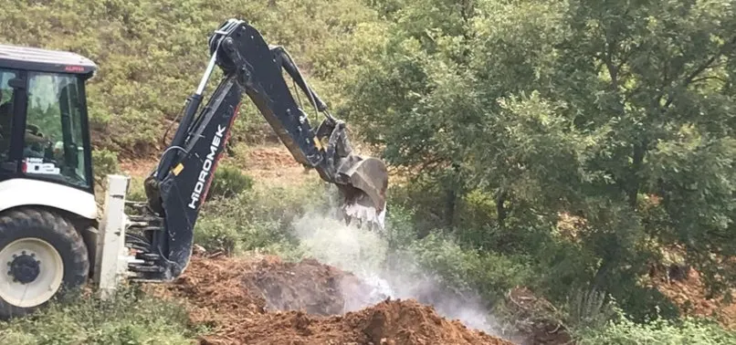İznik'te 6 bin tavuk ölüsü bulundu