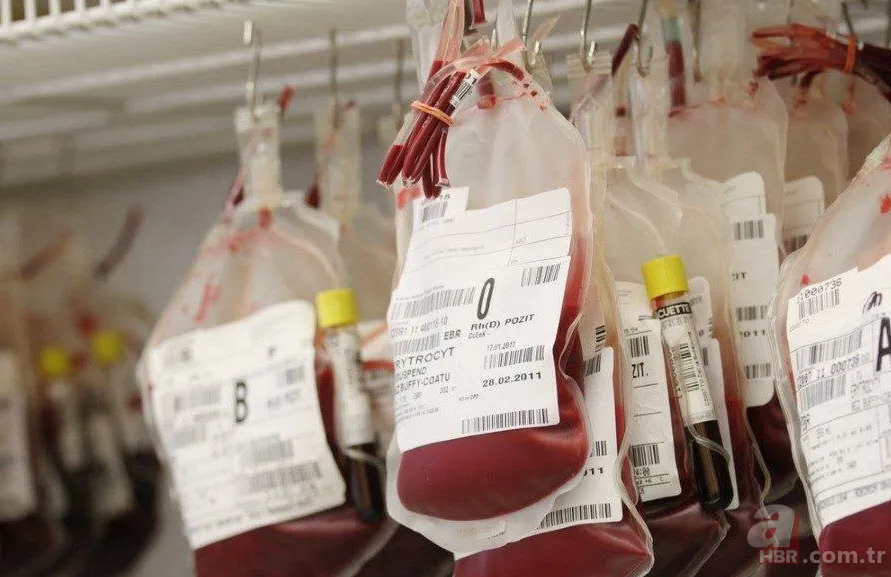 Hangi kan grubu nasıl beslenmeli? İşte kan grubunuza göre tüketmeniz gereken besinler... 15