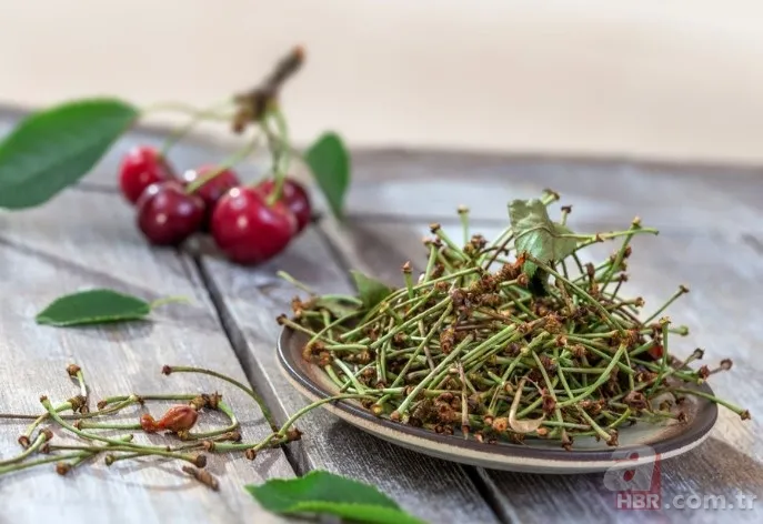 İbrahim Saraçoğlu'ndan ilaç gibi tavsiye! Karın şişkinliğini anında geçiriyor! Meğer bağırsaklara da iyi geliyormuş... 10