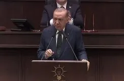 Başkan Erdoğan’dan başıboş köpek açıklaması
